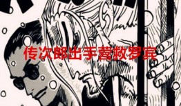 鬼岛罗宾最新爆料,最新爆料背后的惊人真相